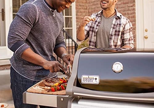 weber spirit ii e 210