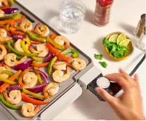 Best Electric Grill for Steaks, Salmon & Vegetables 31 best electric grill for steaks 04